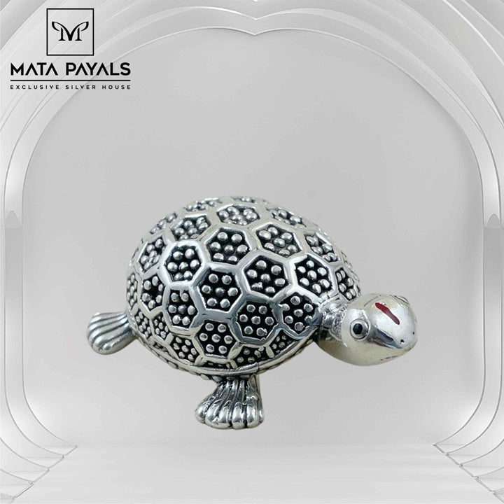 tortoise Idol
