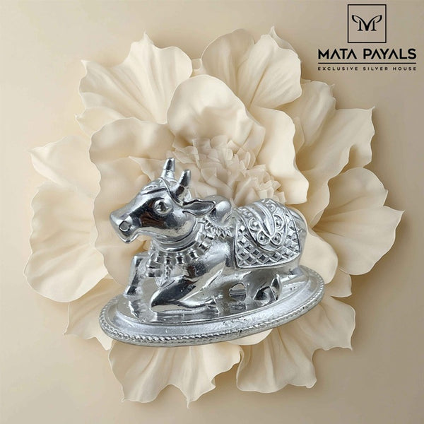 Designer Nandi Idol