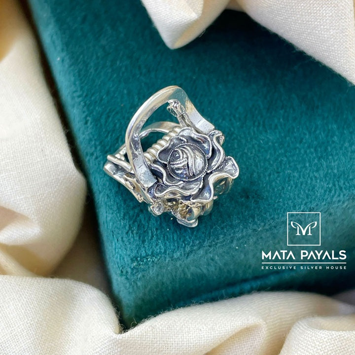 Sensational Oxidised Clip