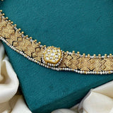 Fabulous Gold Polish Choker