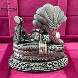 Attractive Vishnu Lakshmi