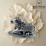 Fabulous Nandi Idol