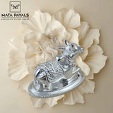 Designer Nandi Idol