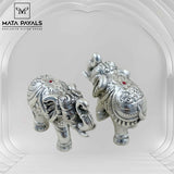 Luxurious Elephant