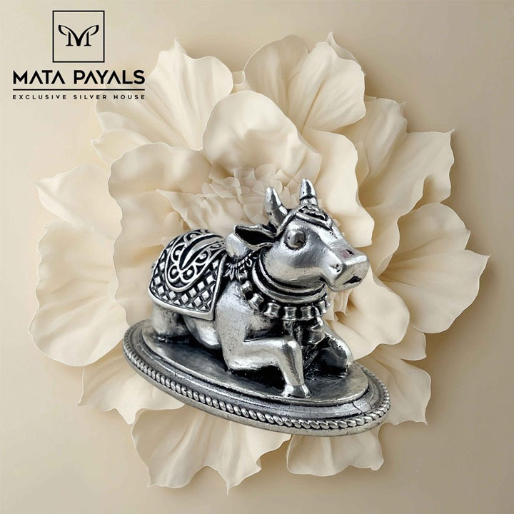 Fabulous Nandi Idol
