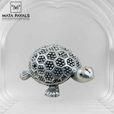 tortoise Idol