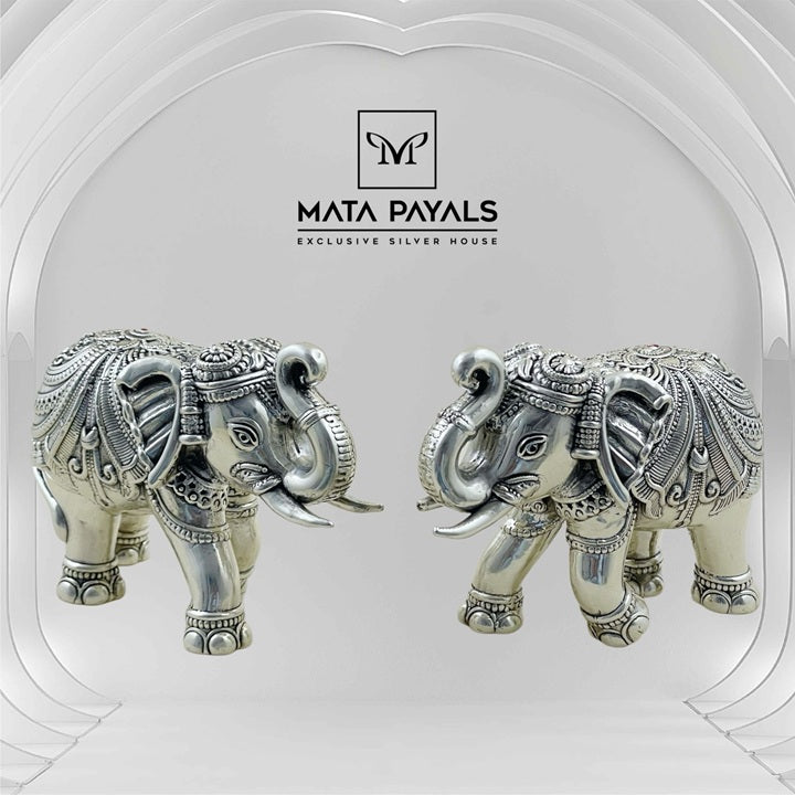 Luxurious Elephant