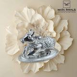 Designer Nandi Idol