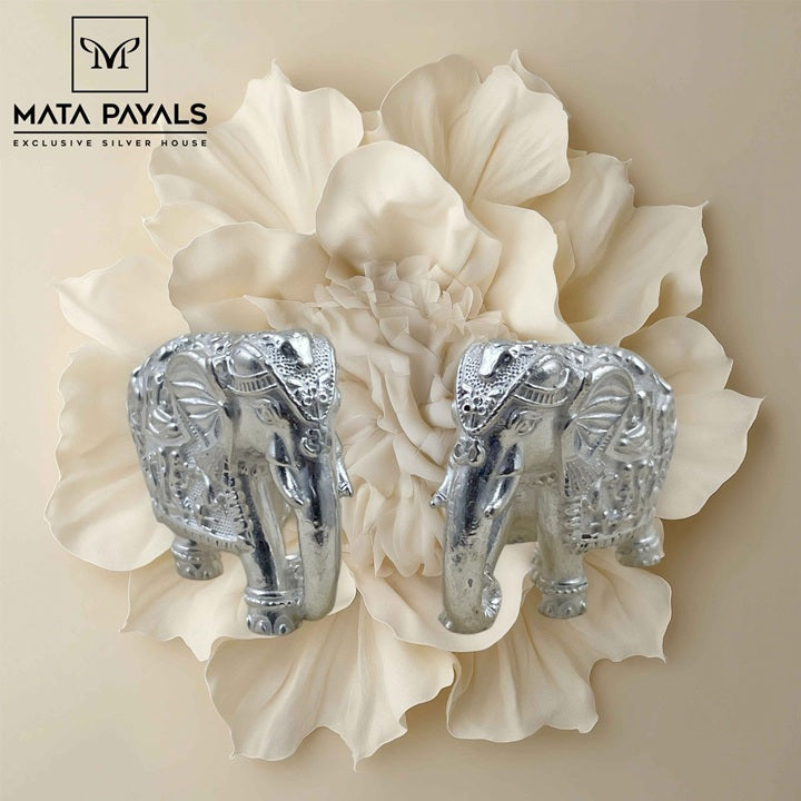 Small Plain Elephant