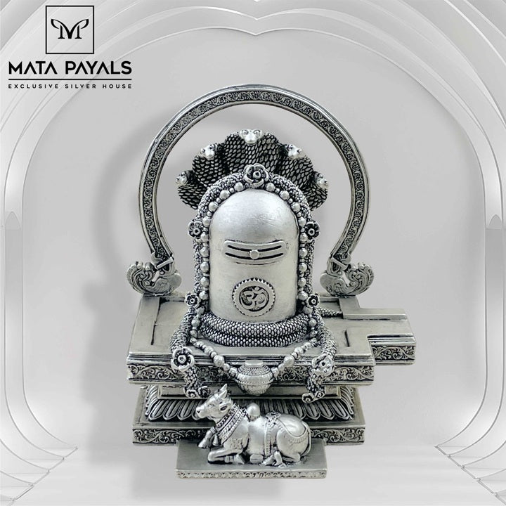 HD Shivalinga Idol