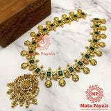 Ravishing Devi Lakshmi Traditional Hara